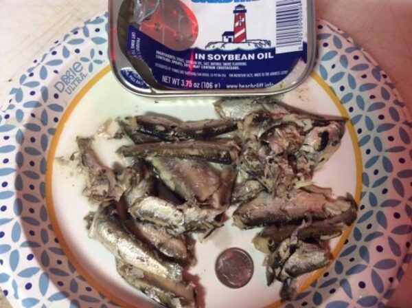 BEACH CLIFF Sardines in Soybean Oil, High Protein Food, Keto Food and Snacks - Image 4