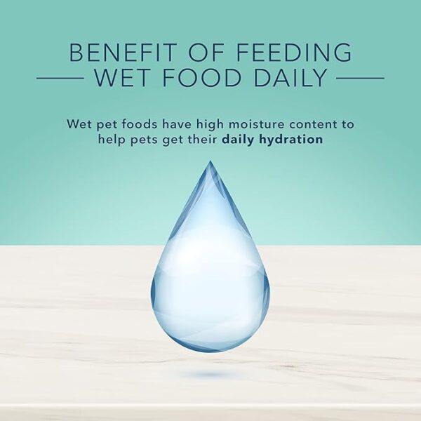 Blue Buffalo True Solutions Small & Mighty Natural Wet Food for Adult Small Breed Dogs - Image 2